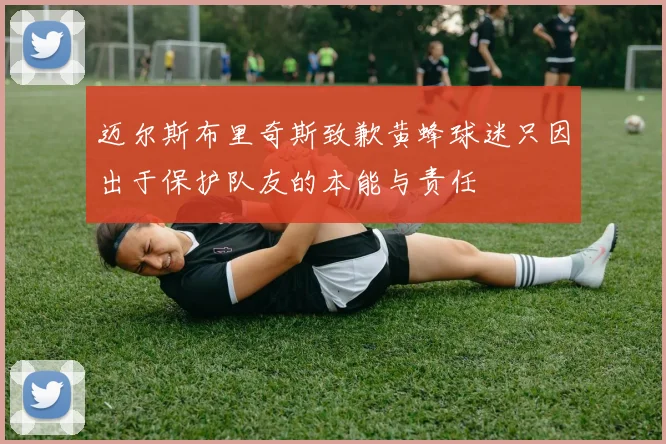 迈尔斯布里奇斯致歉黄蜂球迷只因出于保护队友的本能与责任