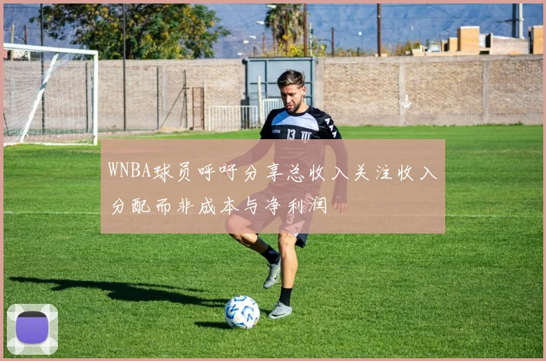 WNBA球员呼吁分享总收入关注收入分配而非成本与净利润
