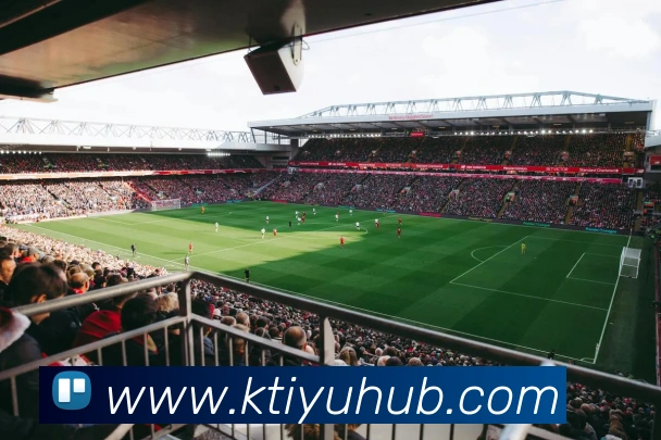 K体育平台生态图